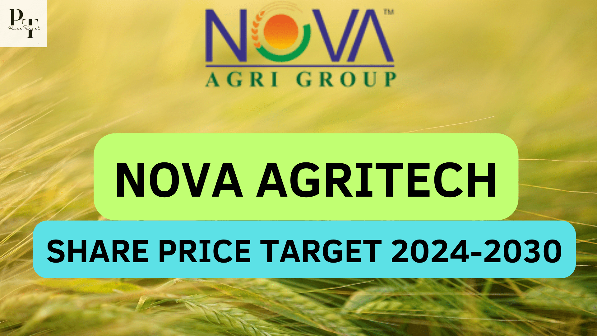 Nova Agritech Share Price Target